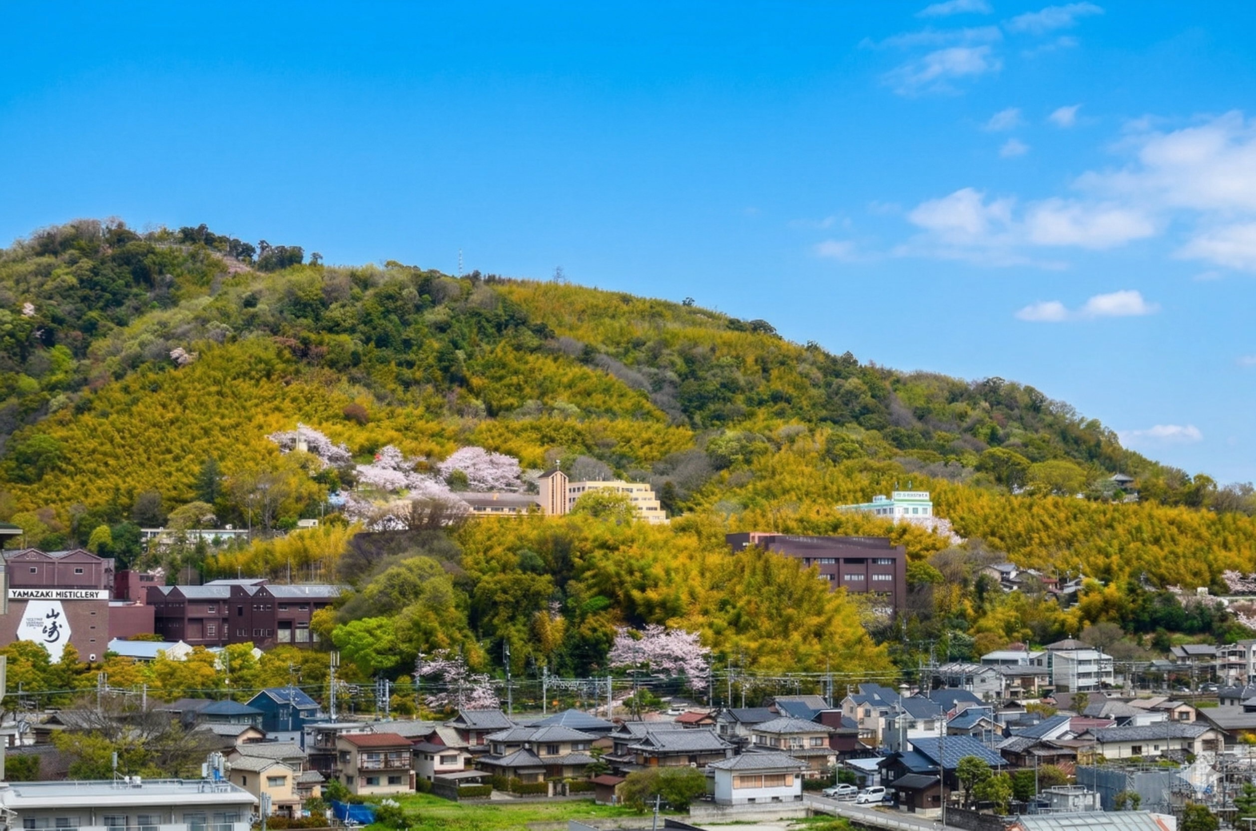 天王山ハイキング